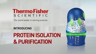 Meet Our Protein Purification and Isolation Doll [upl. by Adimra]