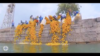 Canal Days Duck Race [upl. by Queen]