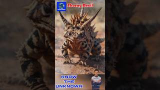 Thorny Devil shorts animals lizard shortvideo youtubeshorts [upl. by Dukey]