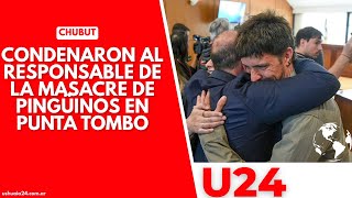 Chubut Condenaron al responsable de la masacre de pingüinos de Magallanes en Punta Tombo [upl. by Fleta]