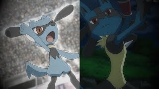 Riolu amp Lucario AMV  Animals request [upl. by Floyd]