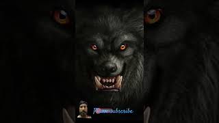 wolf wolfsong lion werewolf dog wolfsounds [upl. by Jordanson815]