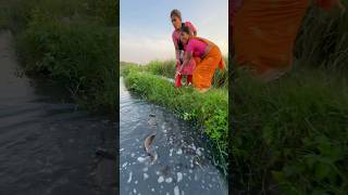 Unique Hook Fishing Video Using Sikol fishingmethods hookfishtrap fishingtechniques fishing [upl. by Selegna397]