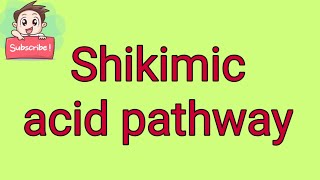 Shikimic acid pathway [upl. by Leahcimsemaj285]