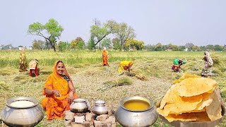 सरसों की कटाई करते समय खेत में गरमा गरम दाल चावल और पापड़ खाने को मिल जाये तो सारी थकान दूर हो जाये [upl. by Erfert185]