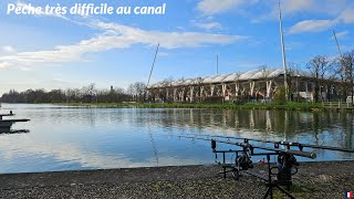 Canal Impitoyable  Pêche Extrêmement Difficile Durant Cette Journée [upl. by Pilloff625]