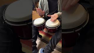 Solid Tuneable Bongos Sound Demo [upl. by Lacombe]