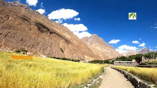 Shimshal Village Tour near Pakistan China Border 2020 [upl. by Sire635]