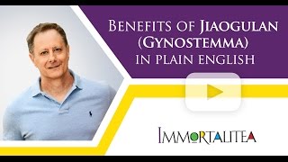 Benefits Of Jiaogulan Gynostemma in Plain English [upl. by Utter]