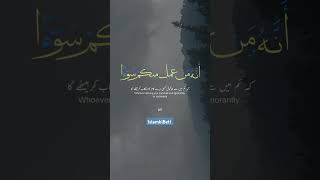 islamicvideos youtubeshorts ytshorts nature abdulrahmanmossad [upl. by Novyert]