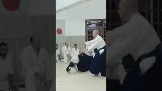 Kaiten nague  Aikido [upl. by Balmuth]