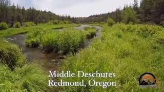 Fly Fishing the DeschutesRedmond Oregon [upl. by Atiuqahs16]