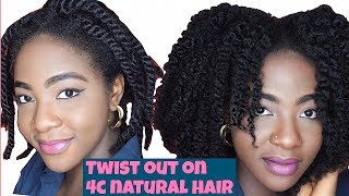 EASY DEFINED TWIST OUT ON 4C NATURAL HAIR [upl. by Anawot271]