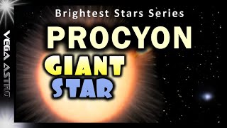 ⭐An InDepth Look at PROCYON aampb [upl. by Edythe]