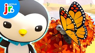 The Missing Monarch 🔍 Octonauts Above amp Beyond  Netflix Jr [upl. by Melbourne]