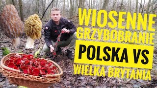 Wiosenne grzybobranie Polska vs Wielka Brytania i konkurs z atlasem [upl. by Zavala]