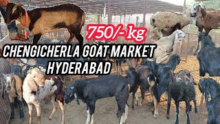 Chengicherla Goat Market Hyderabad  Mutton market in Hyderabad [upl. by Eyllom]