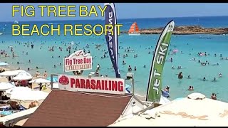 FIG TREE BAY BEACH RESORT 2024 IN PROTARAS CYPRUS [upl. by Yobybab]