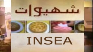 INSEALOGIE EP1  INSEA شهيوات [upl. by Aemat]