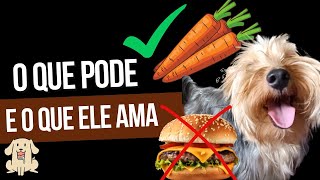 CACHORRO PODE COMER DE TUDO  YorkieShire [upl. by Bigod203]