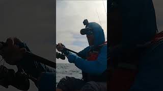 Offshore Kayak Fishing Bluefin Trevally on my 1st Cast Shorts [upl. by Mohammed946]