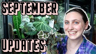 September Updates 🪴 newly potted props happy plants and thrips [upl. by Petula]