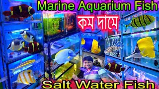 Marine Aquarium Fish Price  Salt Water Fish  Marine Aquarium Fish Shop Chandannagar  Marine Fish [upl. by Meeki357]