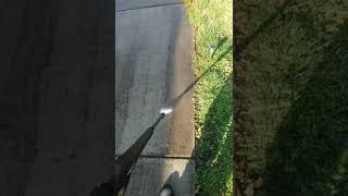 Portland Power Wash From Harbor Freight Walk Path VLOG 1750 PSI [upl. by Ieluuk]