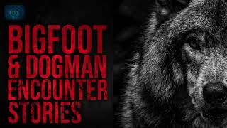 BUFFALO WOLVES AND SASQUATCH  ENCOUNTERS WITH DOGMAN AND BIGFOOT [upl. by Annuaerb]