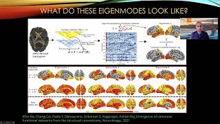 OHBM 2022  72  Educational Course  Generative Modelling of Brain Dynamics  Part 6 [upl. by Hairakcaz]