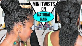 How to Twist on Natural Hair NO EXTENSIONS  EASY Styling and Product Tips  Natural Hair [upl. by Dorette]