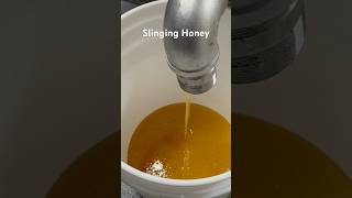 Processing honey liquid gold gold honey [upl. by Neenaj146]