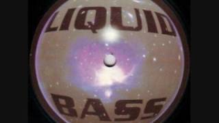 Liquid Bass  Trancemission 1993 [upl. by Suedaht234]