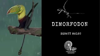 Dimorfodon  Zębaty malec [upl. by Rois841]