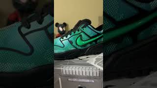 Dusty Cactus Nike Dunks sneakers [upl. by Codding]