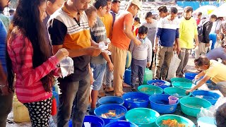 galiff street kolkata  aquarium fish price galiff street  26112023 Part 2 [upl. by Nwahc]