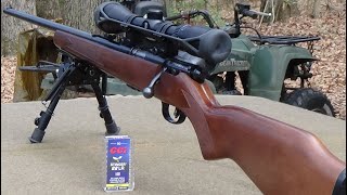 Shooting CCI Stinger 22lr varmint ammo [upl. by Junko]