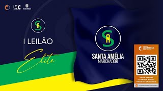 I Leilão Elite Haras Santa Amélia [upl. by Aivato]