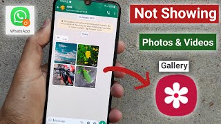 How to stop whatsapp saving photos to gallery [upl. by Hadihsar]