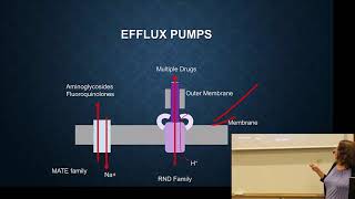 11ABR mechanisms target modification and efflux [upl. by Aimas]