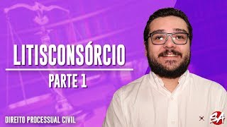 LITISCONSÓRCIO  Direito Processual Civil  Parte 1 [upl. by Otrebire771]