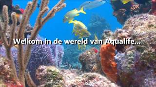 Aqualife Aquarium  OCEAN DREAM NIEUW 2018 [upl. by Erlinna830]