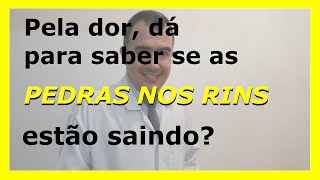 Pela dor dá para saber se as pedras nos rins estão saindo [upl. by Jenda]