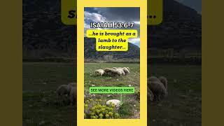 ISAIAH 5367  King James Bible Audiobook   The Lamb of God bibleverse [upl. by Inava186]