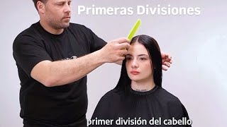 Divisiones del cabello para comenzar a cortar y peinar  Nivel inicial [upl. by Anneyehc]