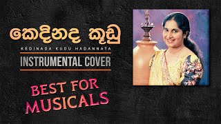 Kedinada Kudu  à¶šà·™à¶¯à·’à¶±à¶¯ à¶šà·–à¶©à·”  Instrumental Cover BEST FOR MUSICALS [upl. by Shimberg]