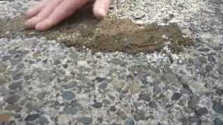 HOW TO Apply amp Match crack filler to exposed aggregate driveway [upl. by Kurth]