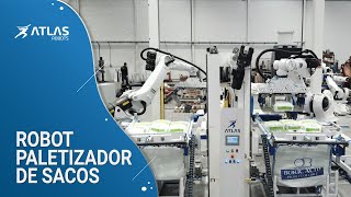 Robot paletizador de sacos doble con conformador [upl. by Dnama]