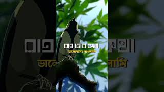 Mayaboti bangladeshigan [upl. by Alexina]