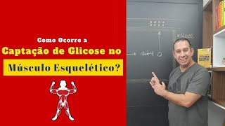 Desvendando a Captação de Glicose no Músculo Explorando a Fisiologia para Personal Trainers [upl. by Nnaassilem436]